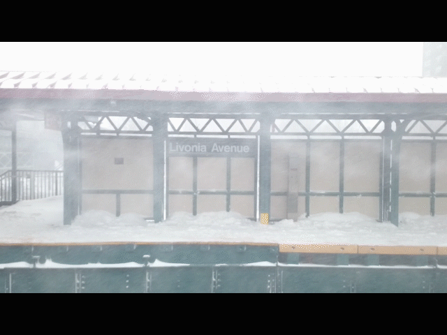 Livonia Snowstorm 2016-01-23 looped 0.11.gif
