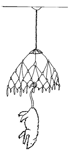 Picture2.png