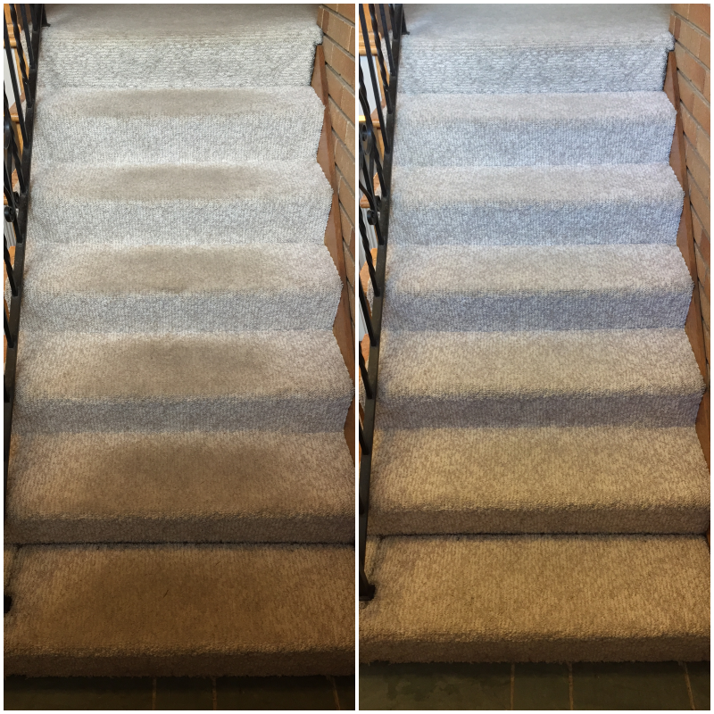 Carpet & Rug Cleaning Before & After SnoKing Carpet & Upholstery