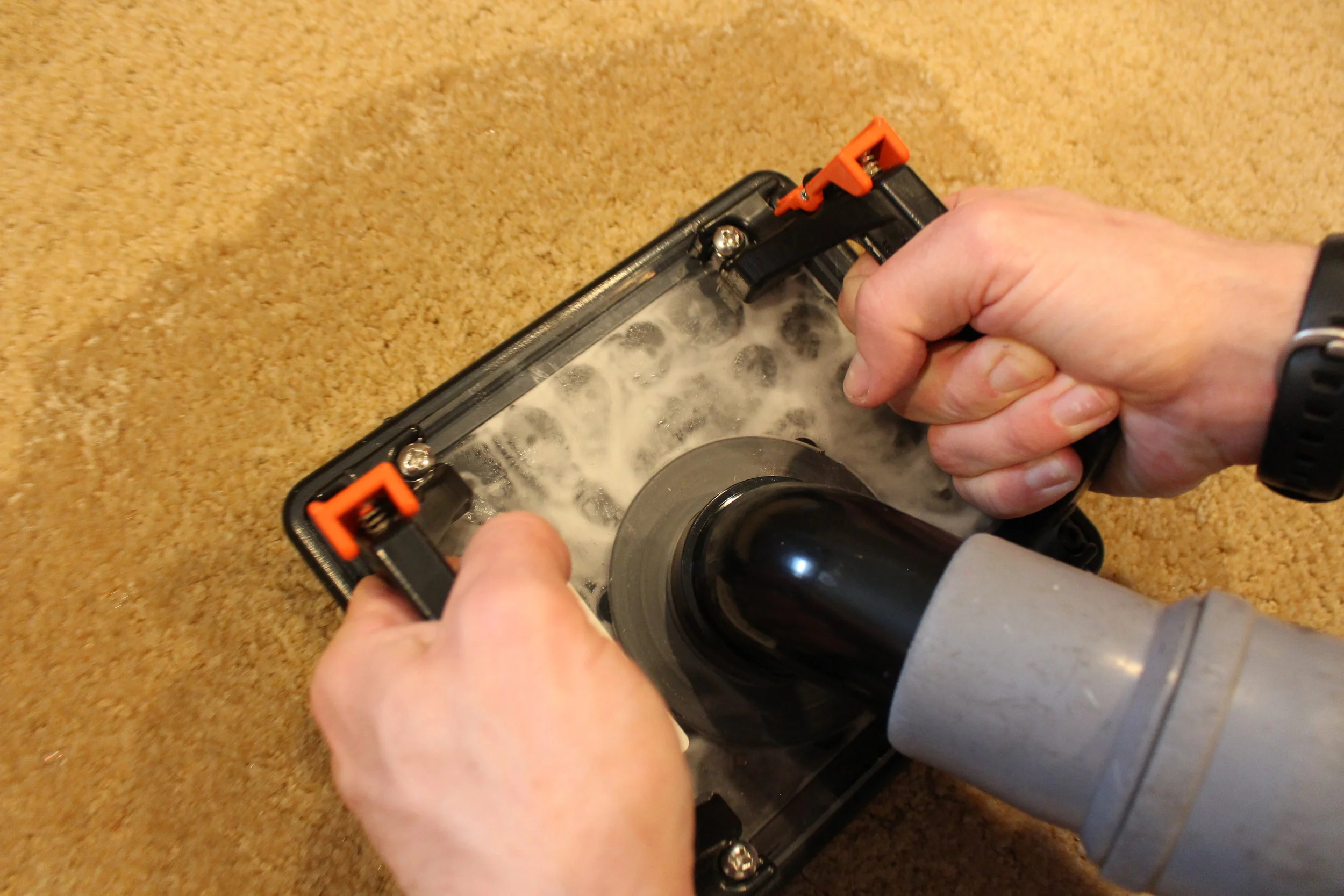 Pet Stain Remover Seattle Pet Stain & Odor Removal Seattle, WA