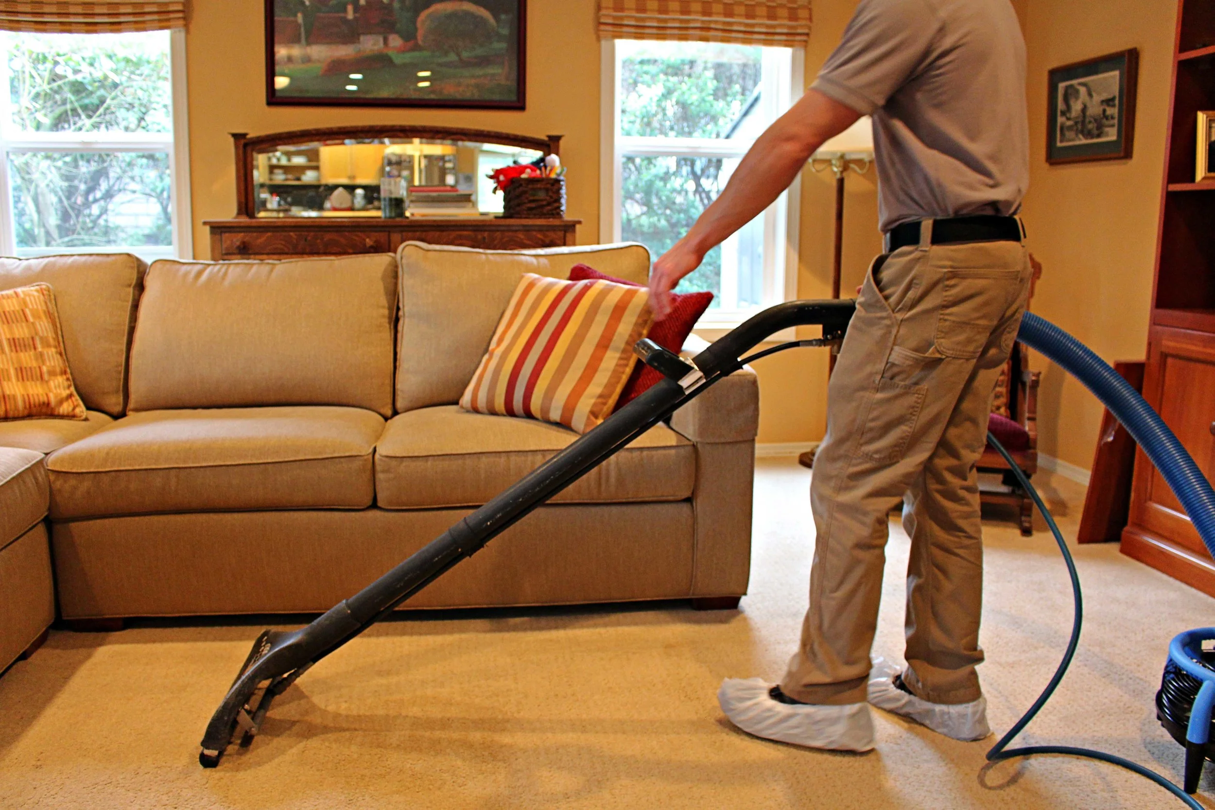 Pet Stain Remover Seattle Pet Stain & Odor Removal Seattle, WA
