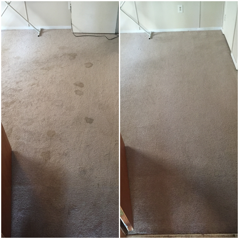 Pet stains before and after.png