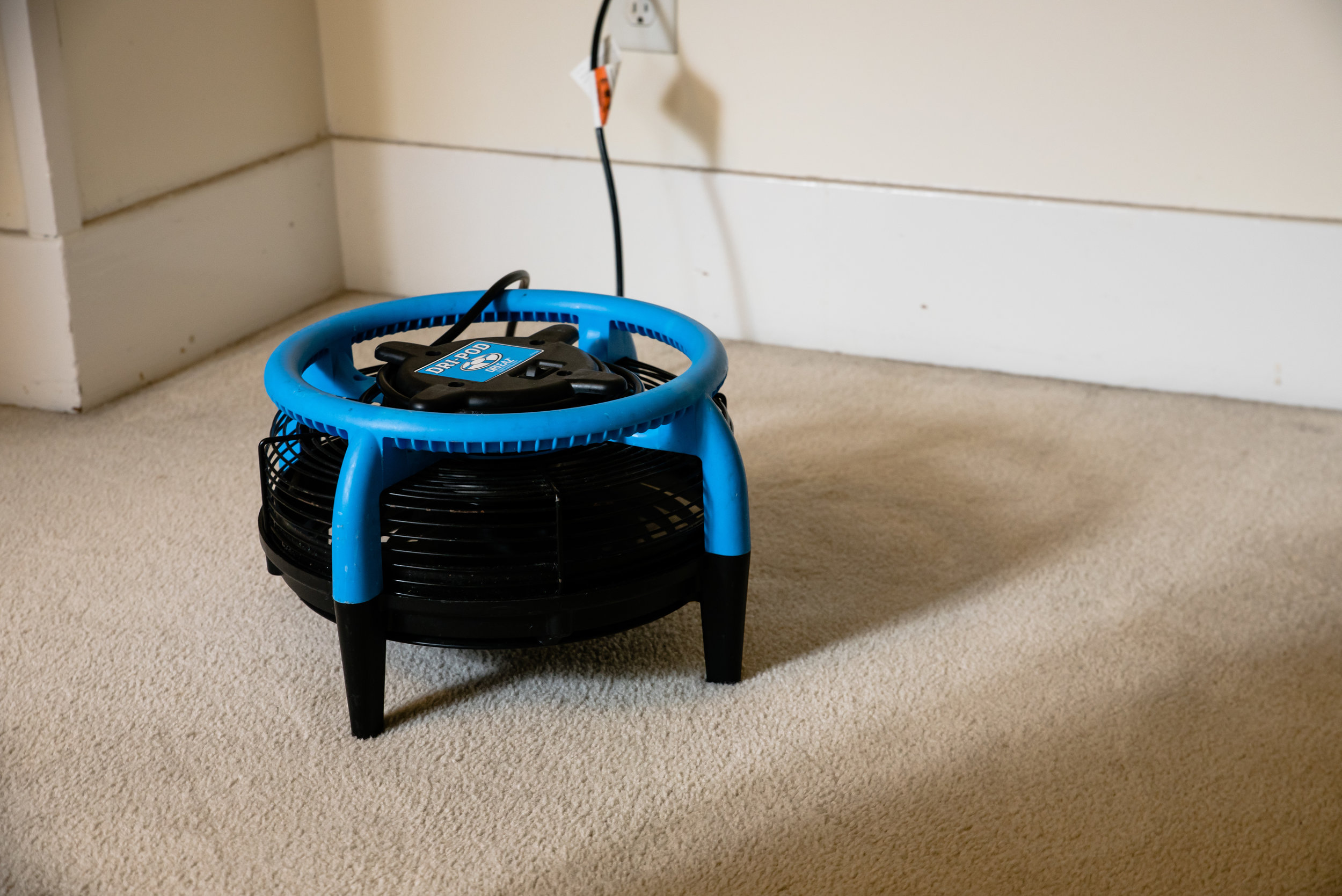 Does carpet dry faster in warm weather? — Sno-King Carpet