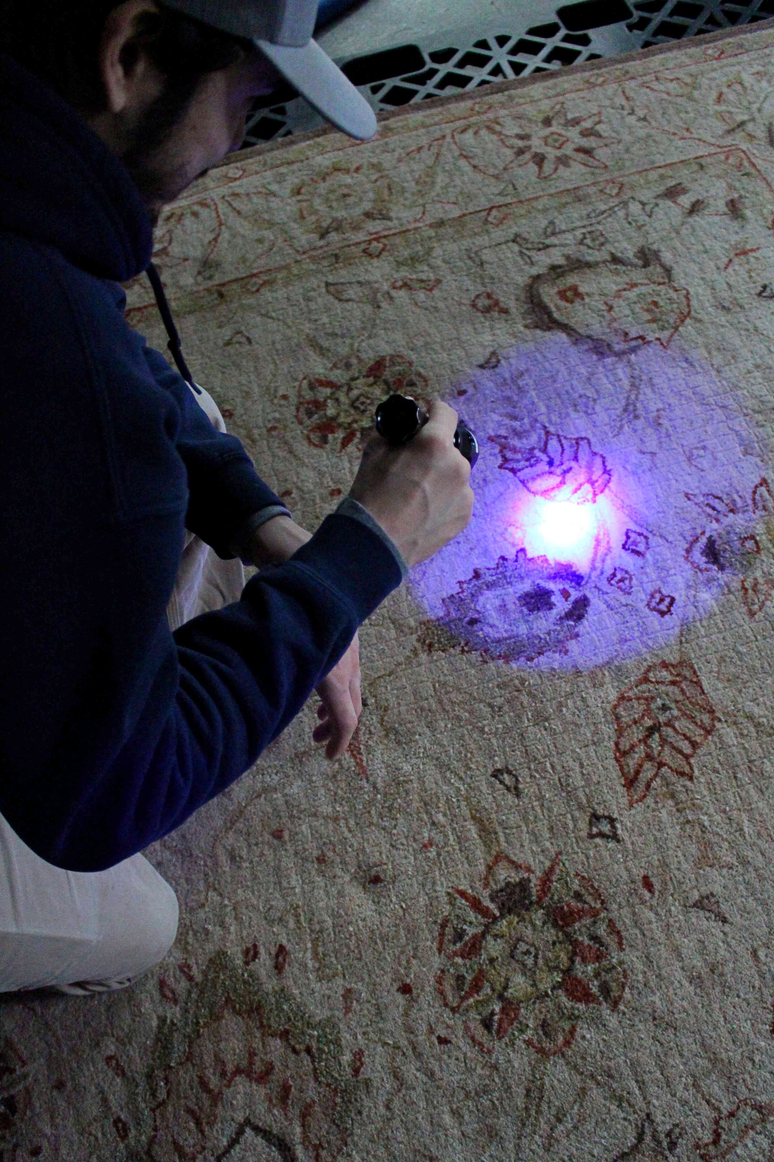 Professional Area Rug Cleaning Service Seattle Persian, Wool