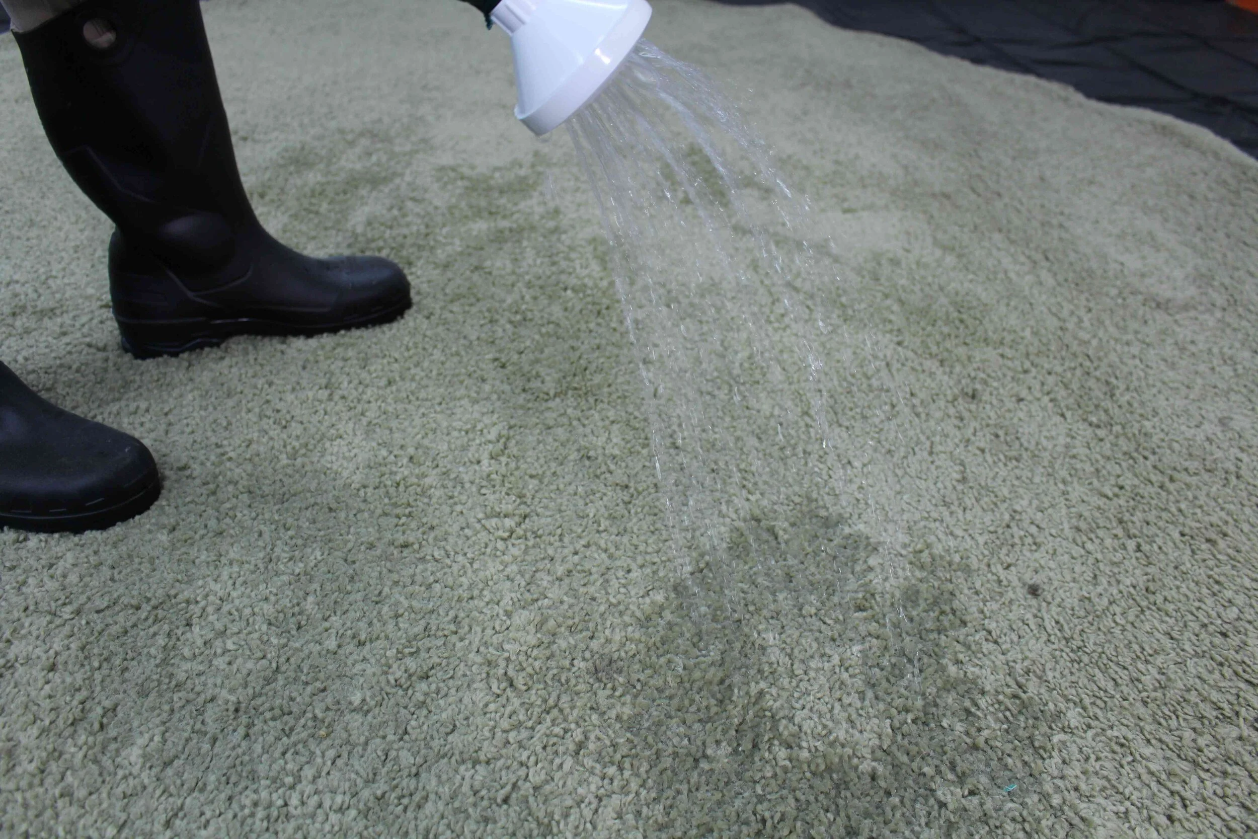 Professional Area Rug Cleaning Service Seattle Persian, Wool
