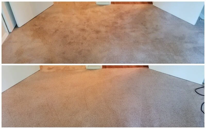 Residue Free Carpet Cleaning — SnoKing Carpet & Upholstery Cleaning