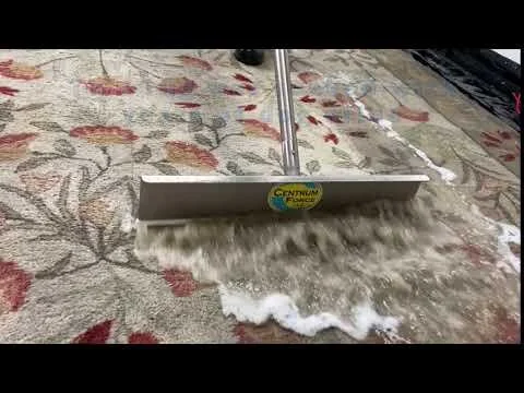 Rug Cleaning Shop Seattle | Area Rug Cleaners & Pet Stain Remover Seattle