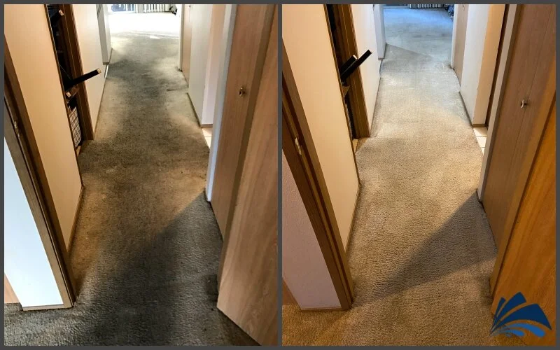 Carpet & Rug Cleaning Before & After SnoKing Carpet & Upholstery