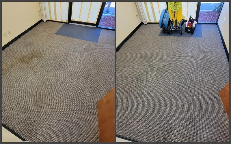 Professional office carpet cleaning — Sno-King Carpet & Upholstery