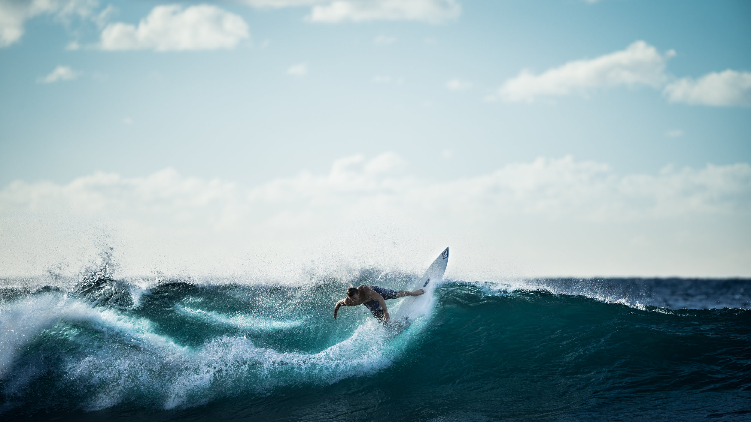 shred-surf-life.jpg