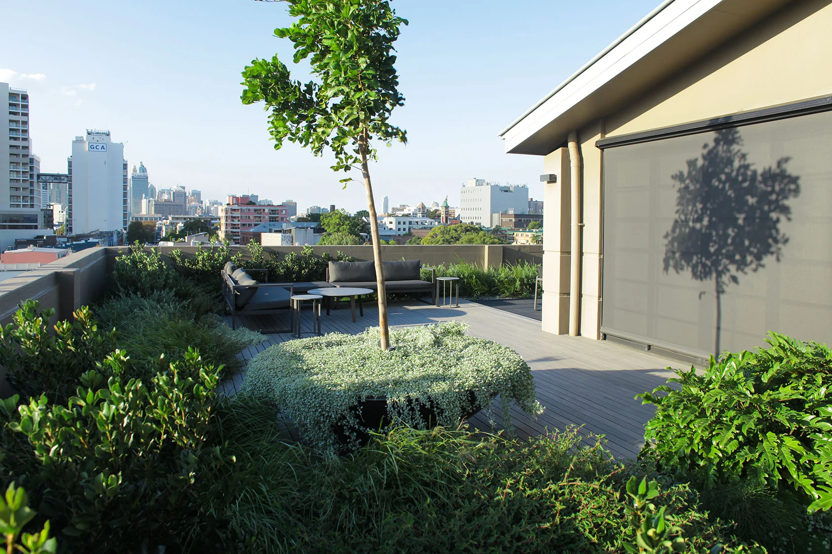 rooftop garden#courtyard#