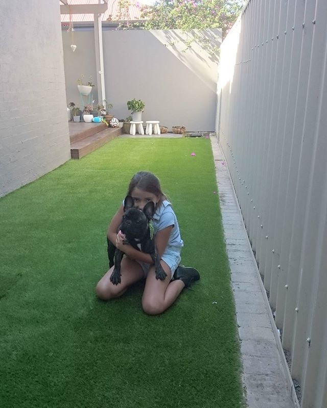 #greenlook77
#dogs synthetic grass