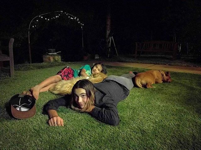 #greenlook77
#dogs synthetic grass
