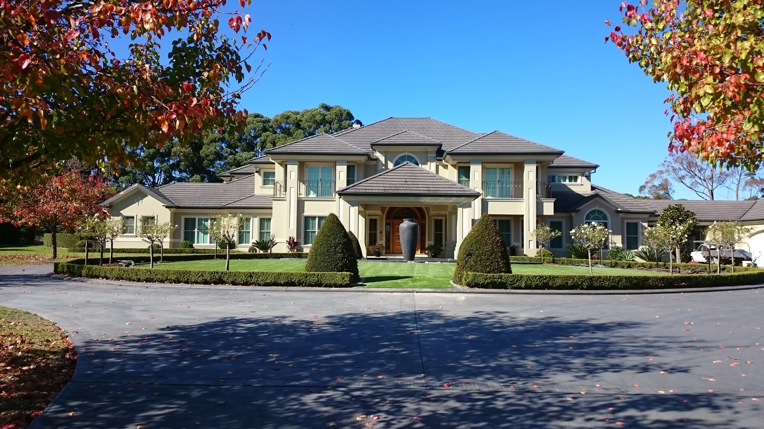 Dural royal grass deluxe