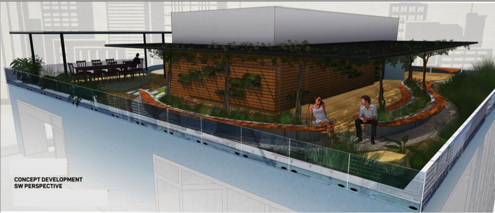 Green roof entertainment area graphic.png