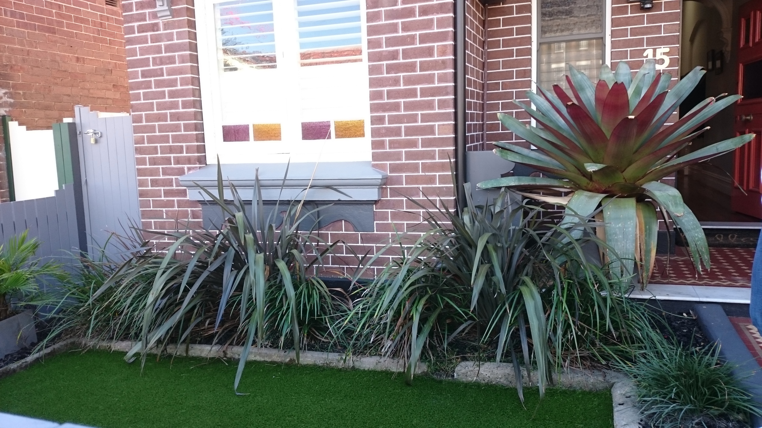 ROYAL GRASS DELUXE