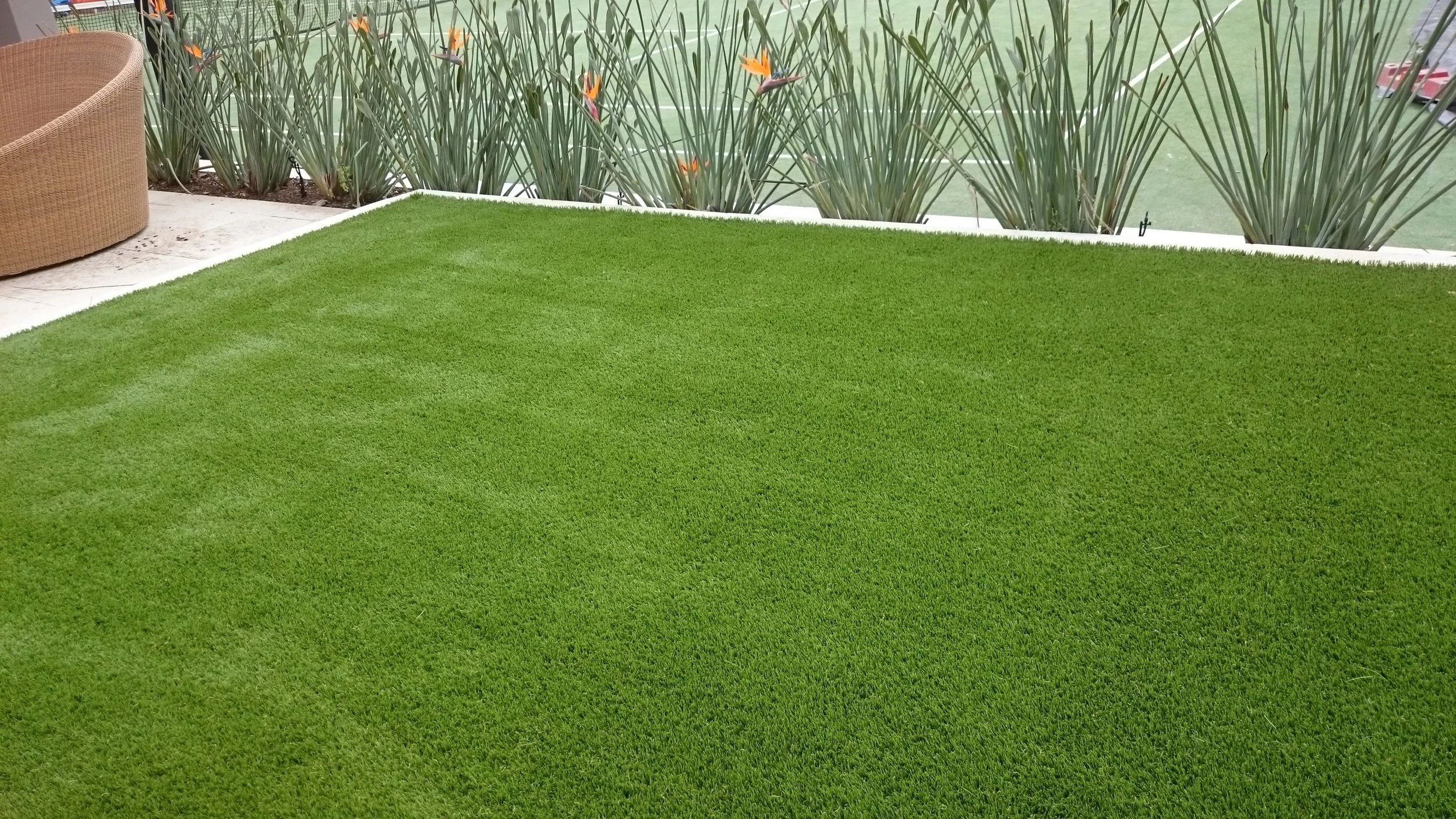 quality fake grass sydney#premium synthetic grass sydney#green look#royal grass