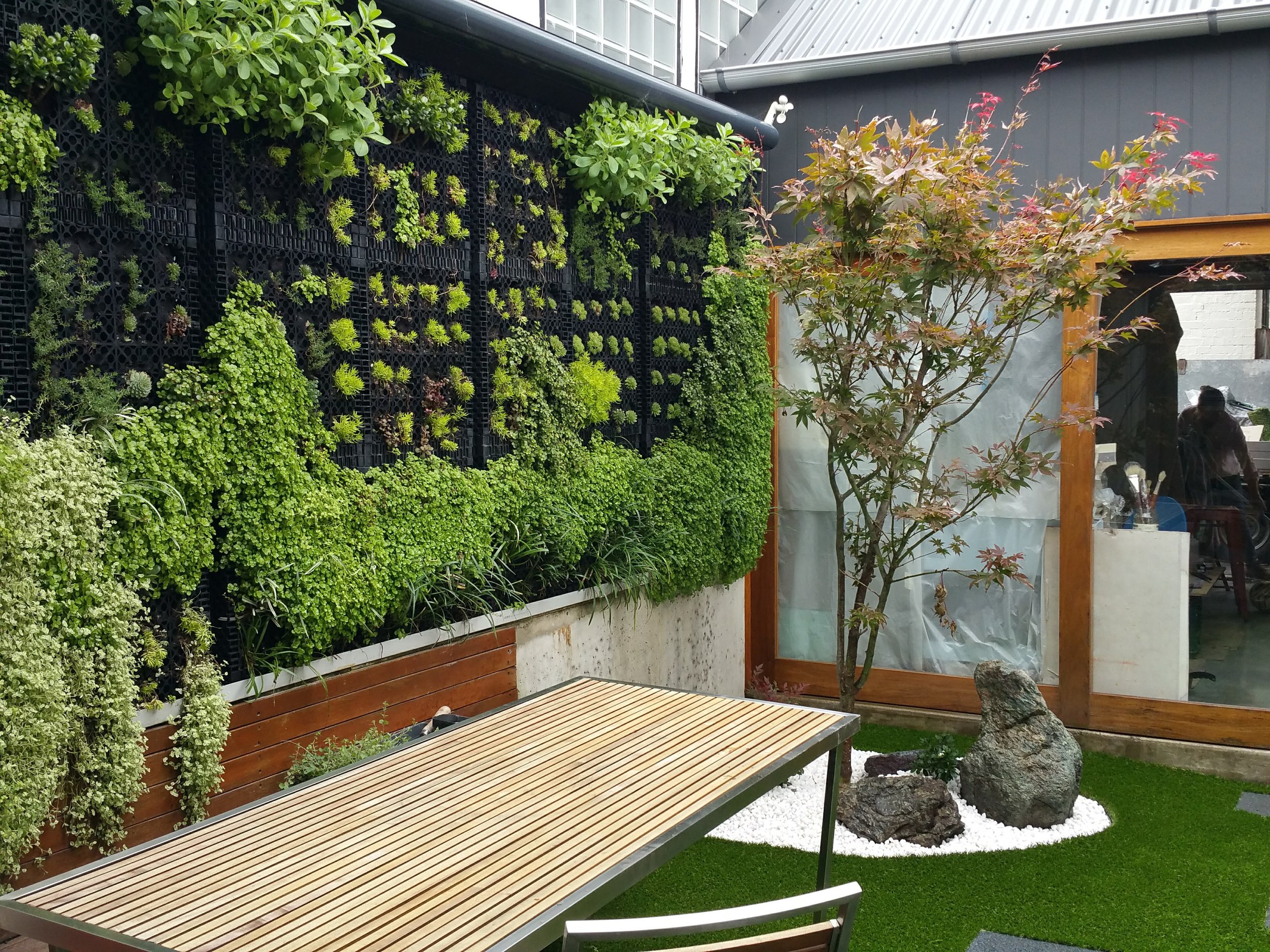 This vertical wall gives this courtyard a lush leafy feel. Even a small space can feel like a large garden.  This courtyard was given a Japanese feel with the Japanese maple, Serpentine rocks and white quartzes.