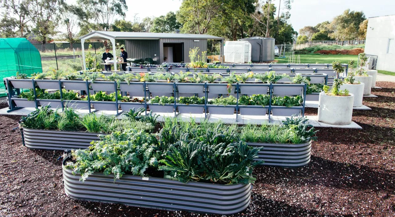 Biofilta Urban Farm Systems