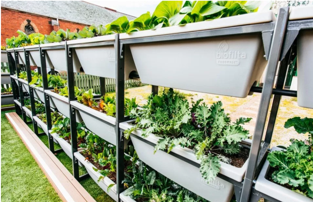 Urban Farming.