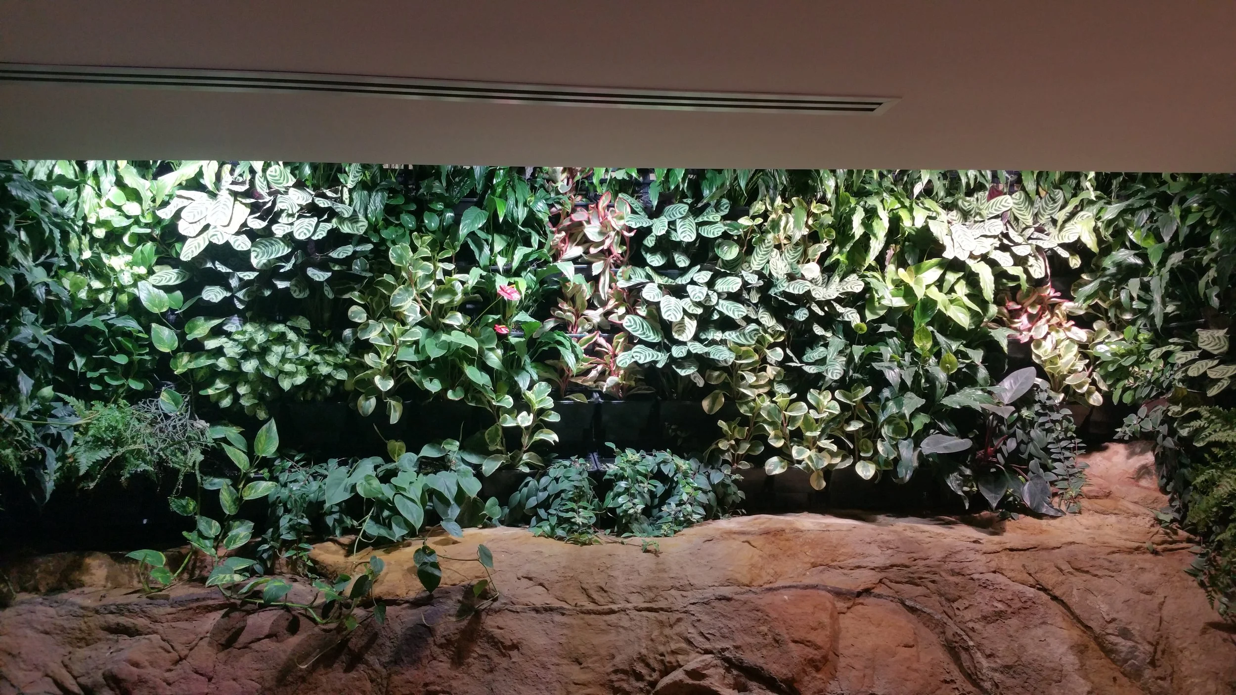 vertical garden#green wall#