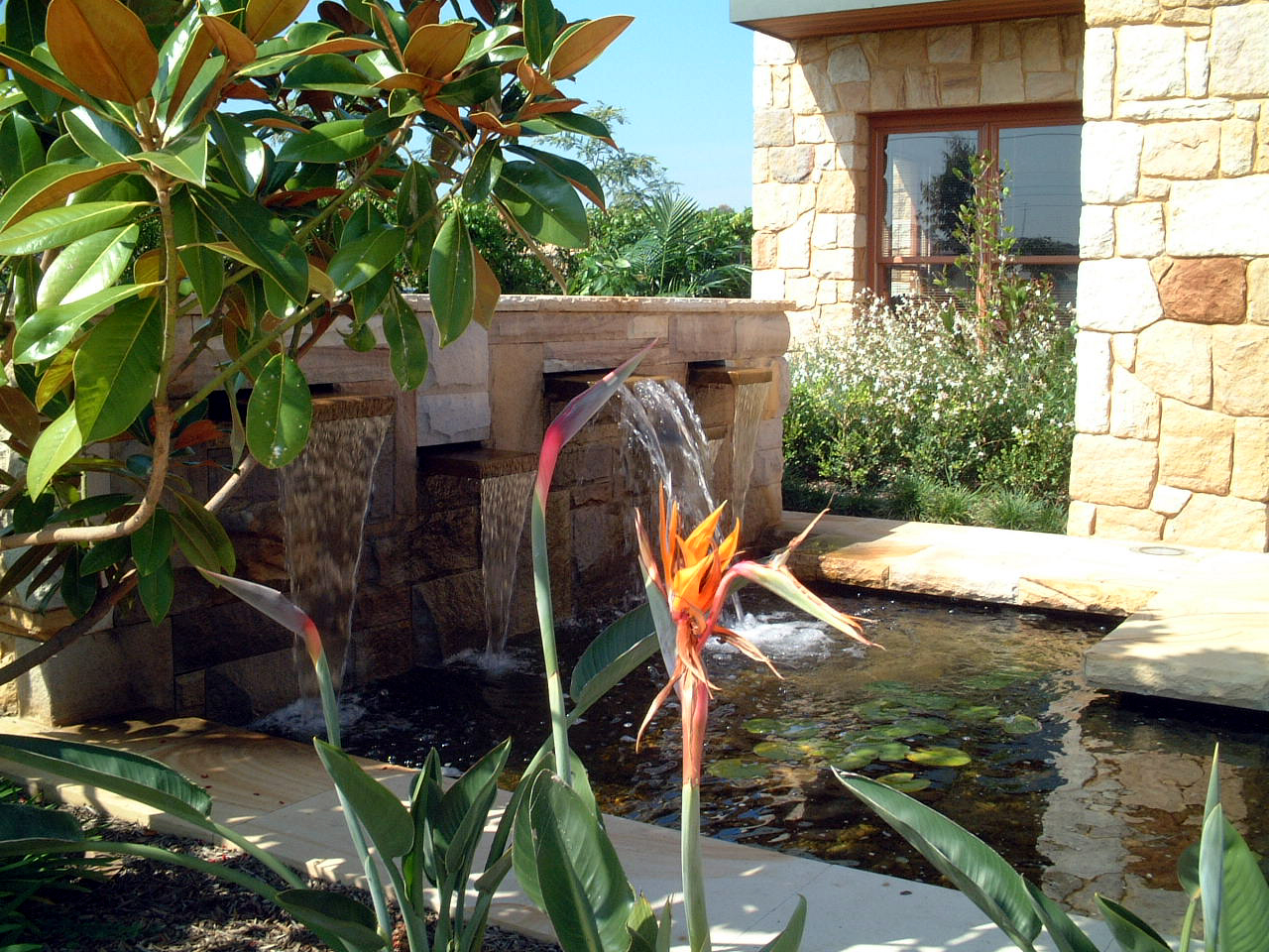 DSCF0002.JPG