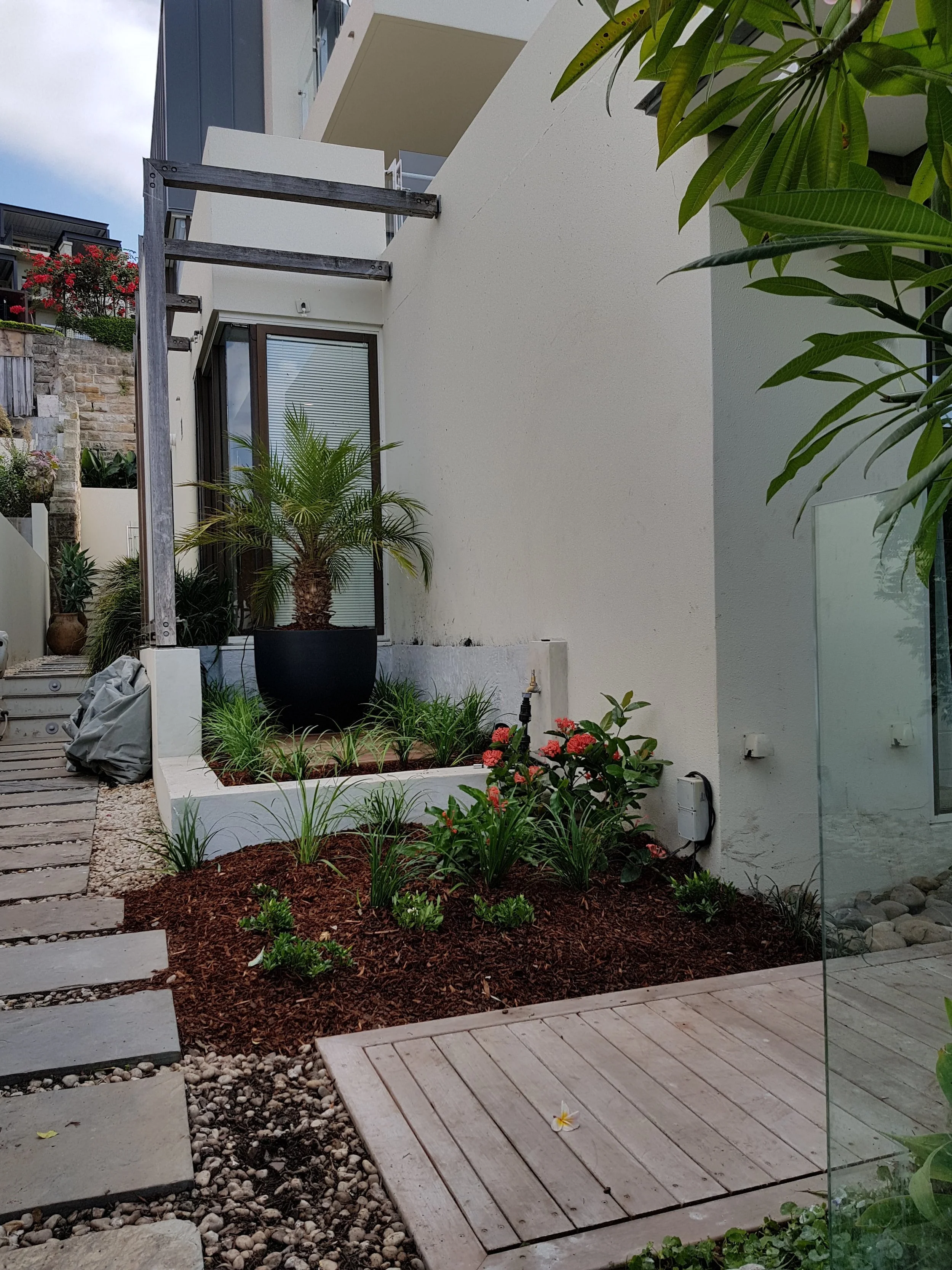 Landscape courtyard Lavender Bay