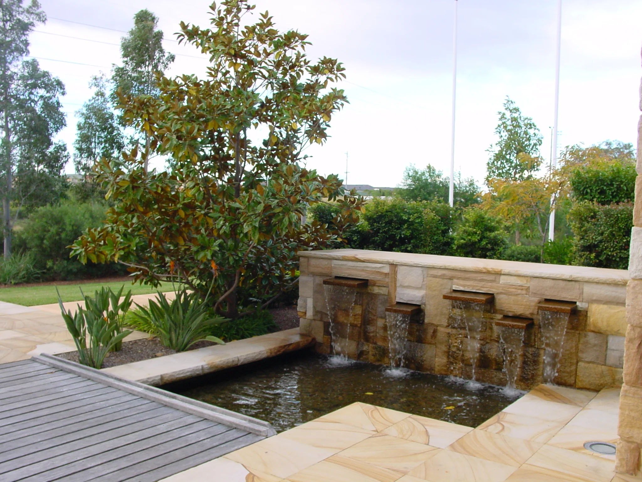 Water feature, planting