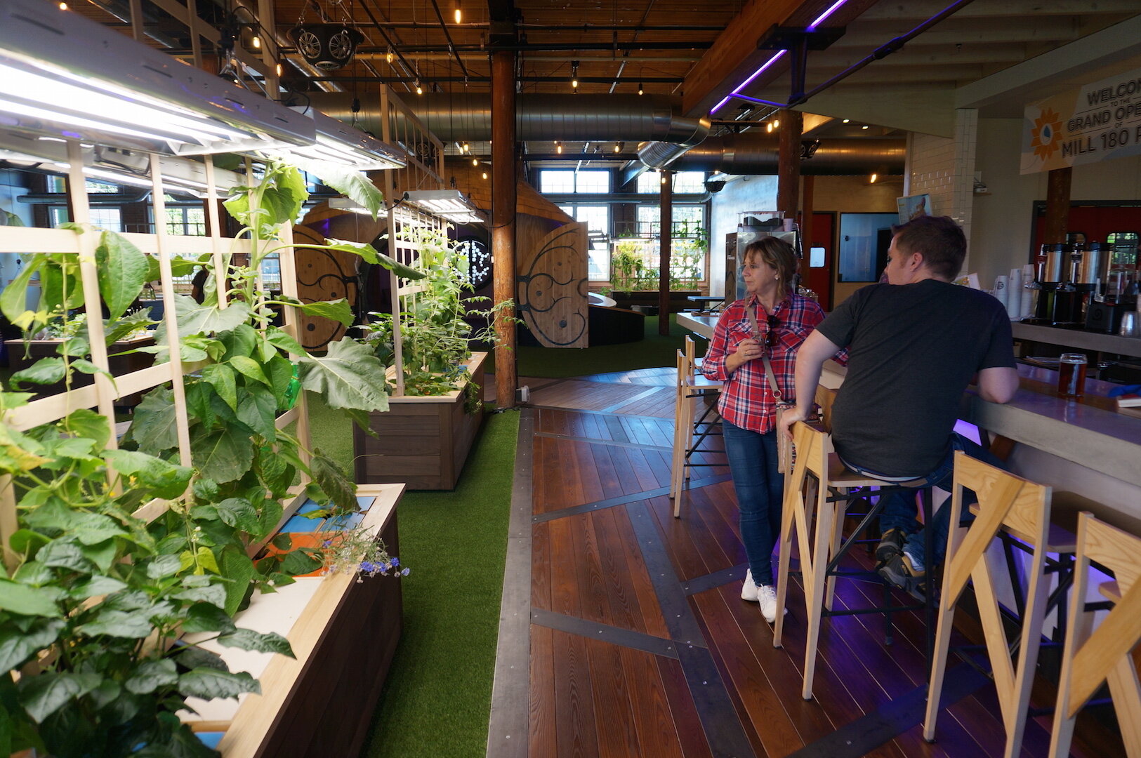 Restaurant growing crops inside.JPG