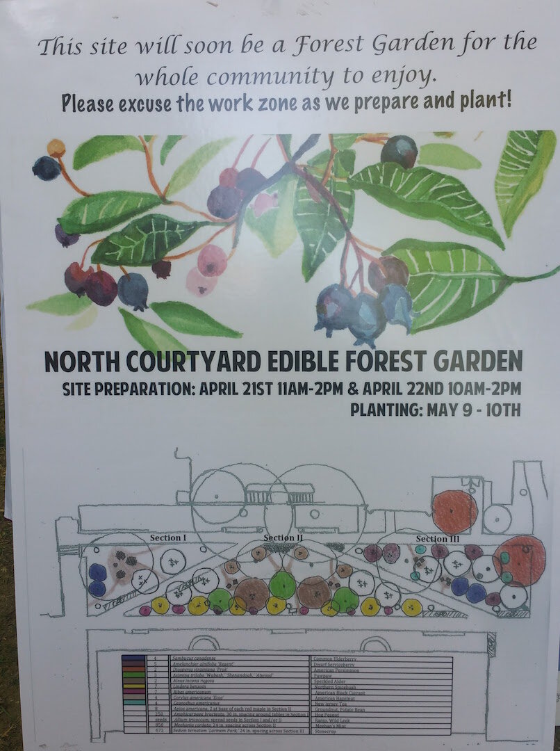 Graphic of edible forest.jpg