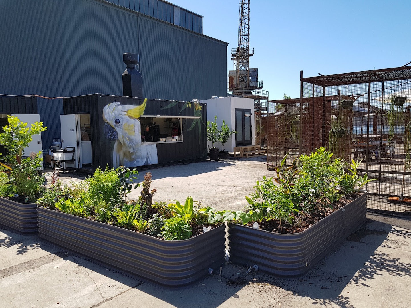 Cockatoo Island on slab vegetable gardens and popup restautant.jpg