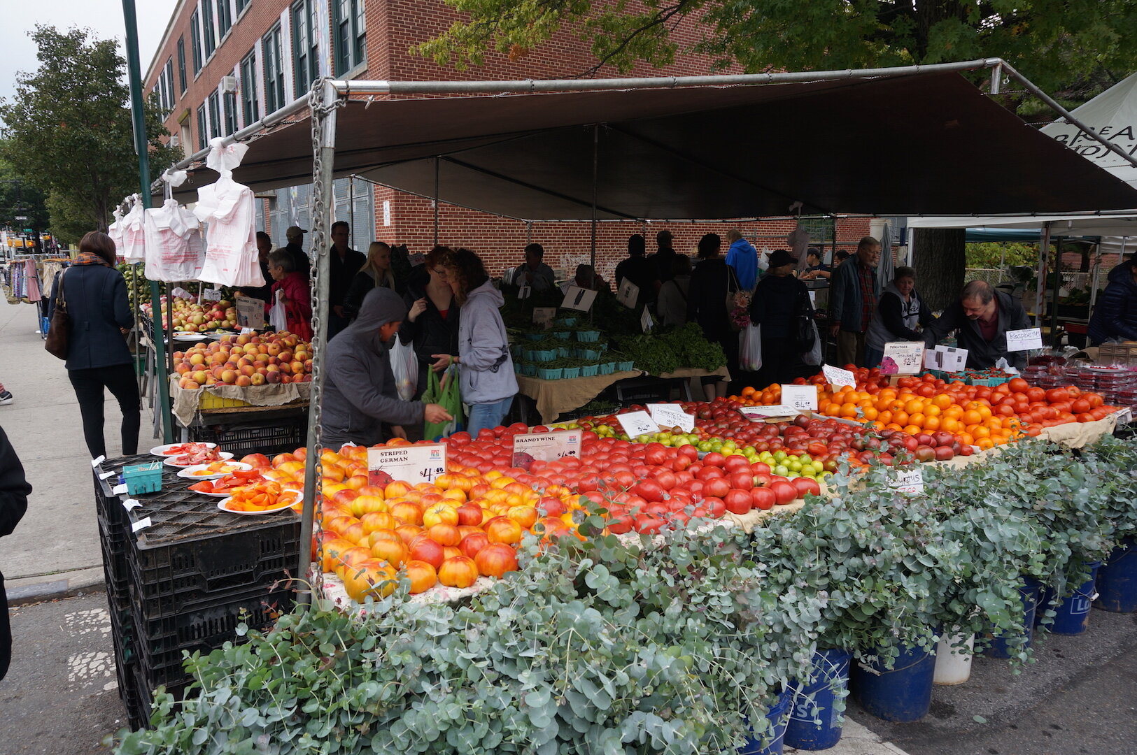 Market stall of fresh vegetables.JPG