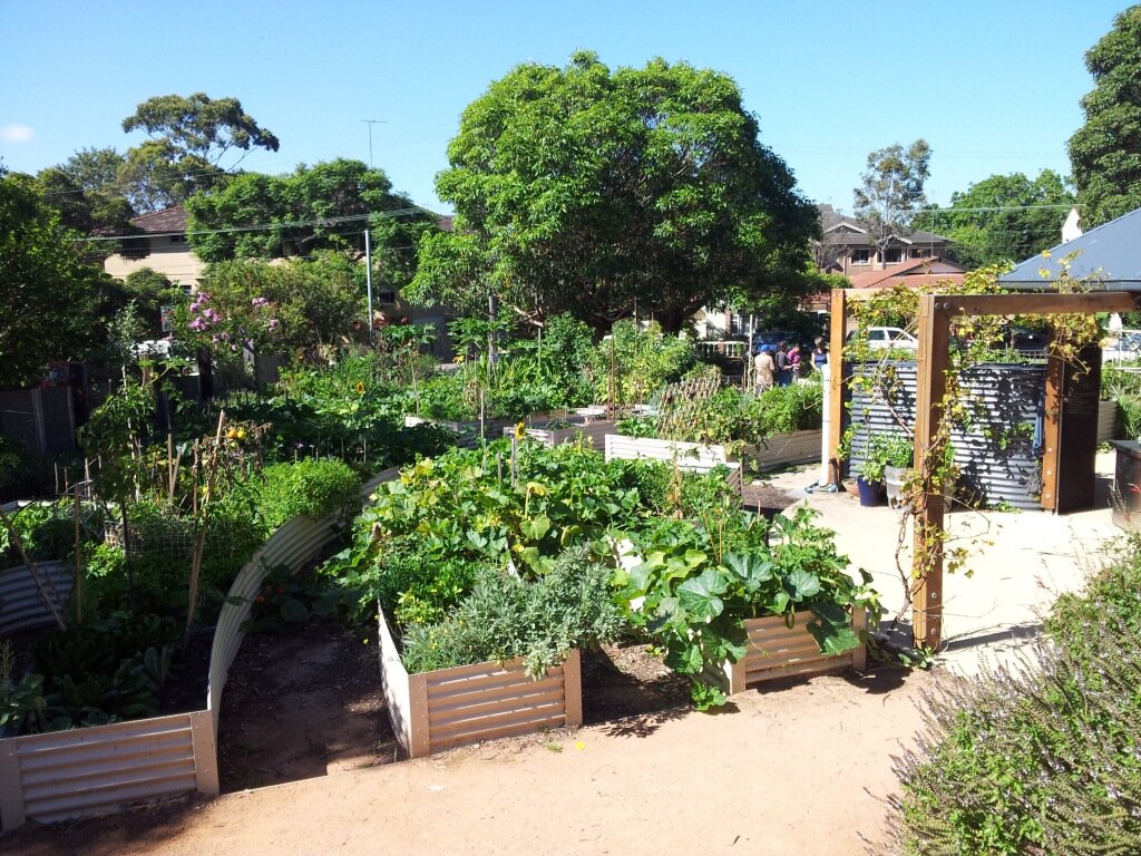 warringah community vegetable gardens small.jpg