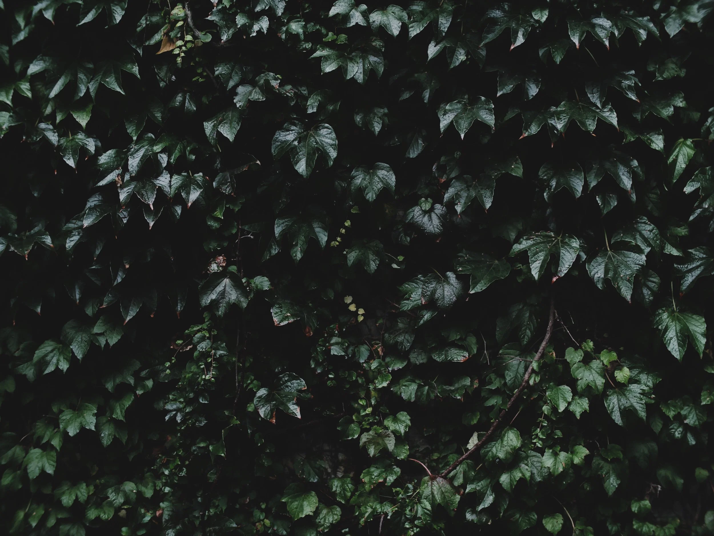 patrick-tomasso-443169-unsplash-2.jpg