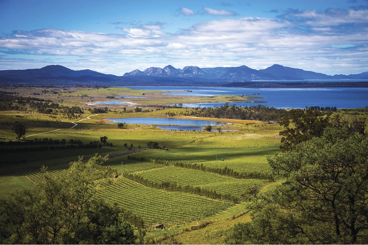wine_tasmania.jpg