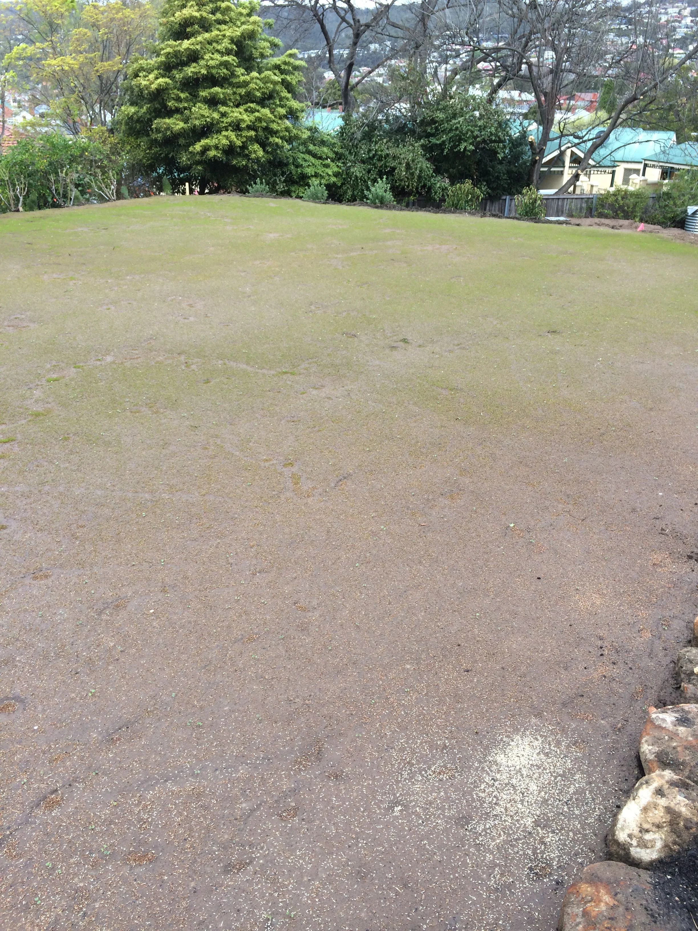 Garden 2014 - 4.jpg
