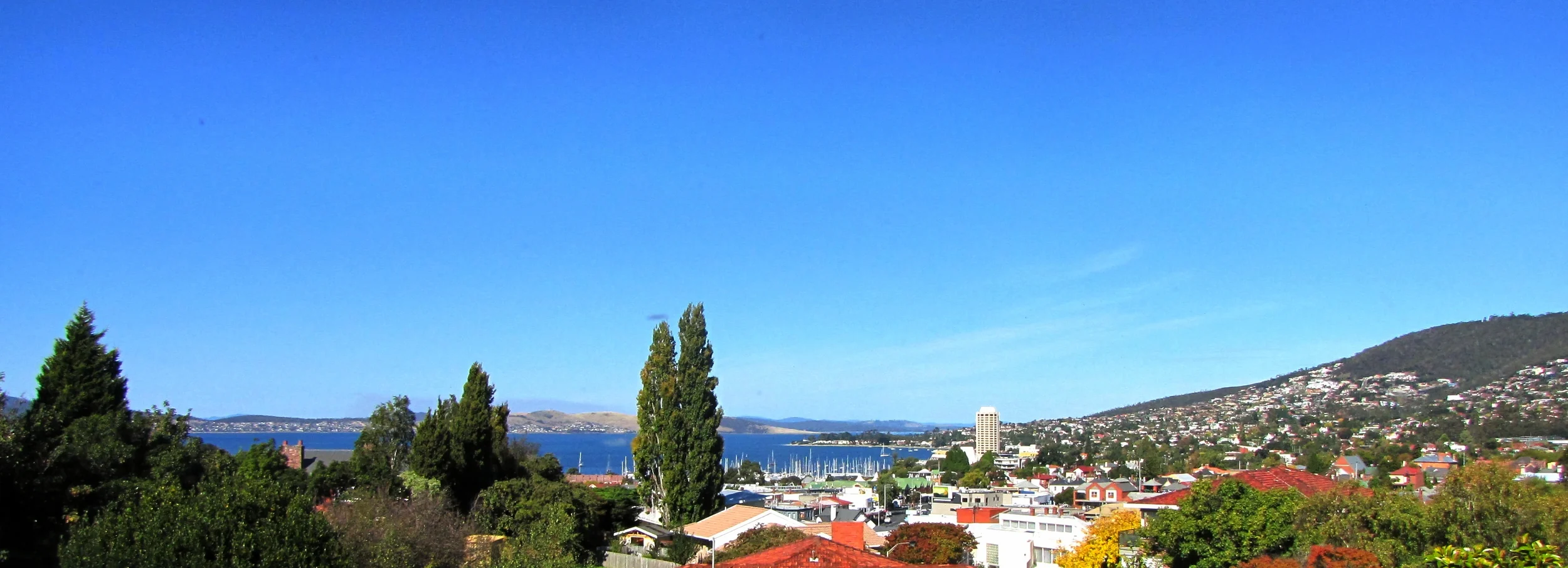 Panorama.JPG
