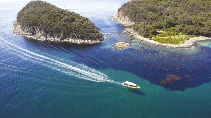 Pennicott Wilderness Journeys, Bruny Island, TAS