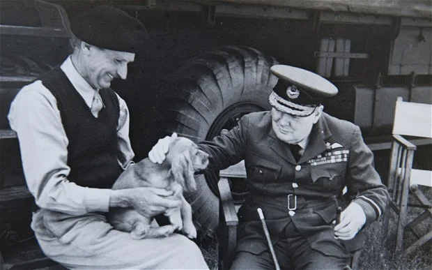 montgomery churchill dog.jpg
