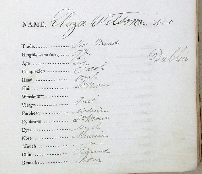 Eliza Wilson T Horne.PNG