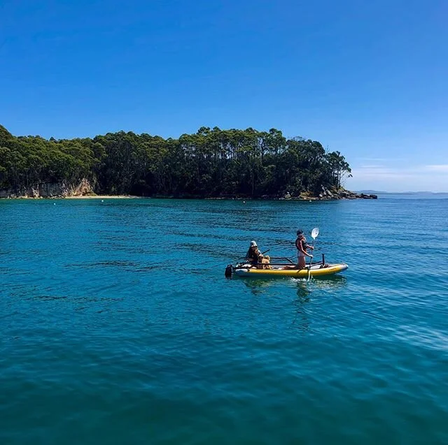Earlier in the day...three in a 🚣‍♀️ 🐕 
#brunyisland #tasmania #sailinglife #discovertasmania