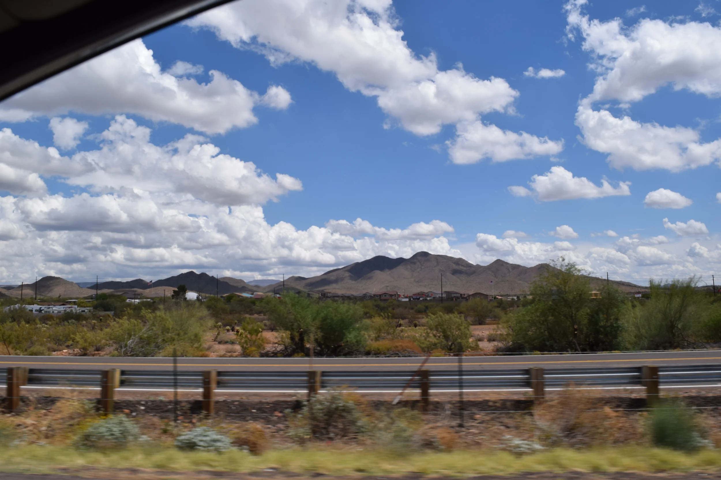 DSC_0210.JPG