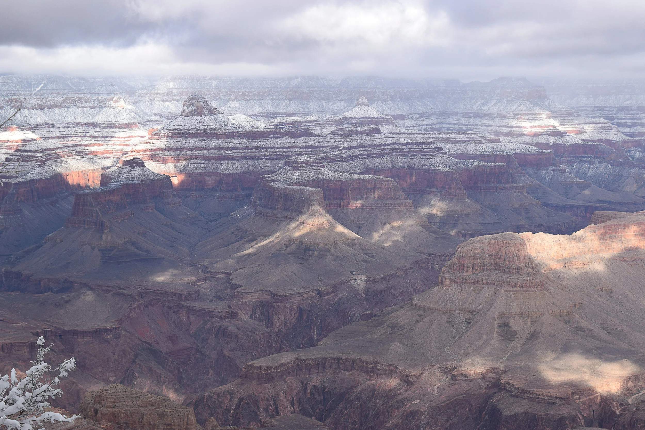 canyon.jpg
