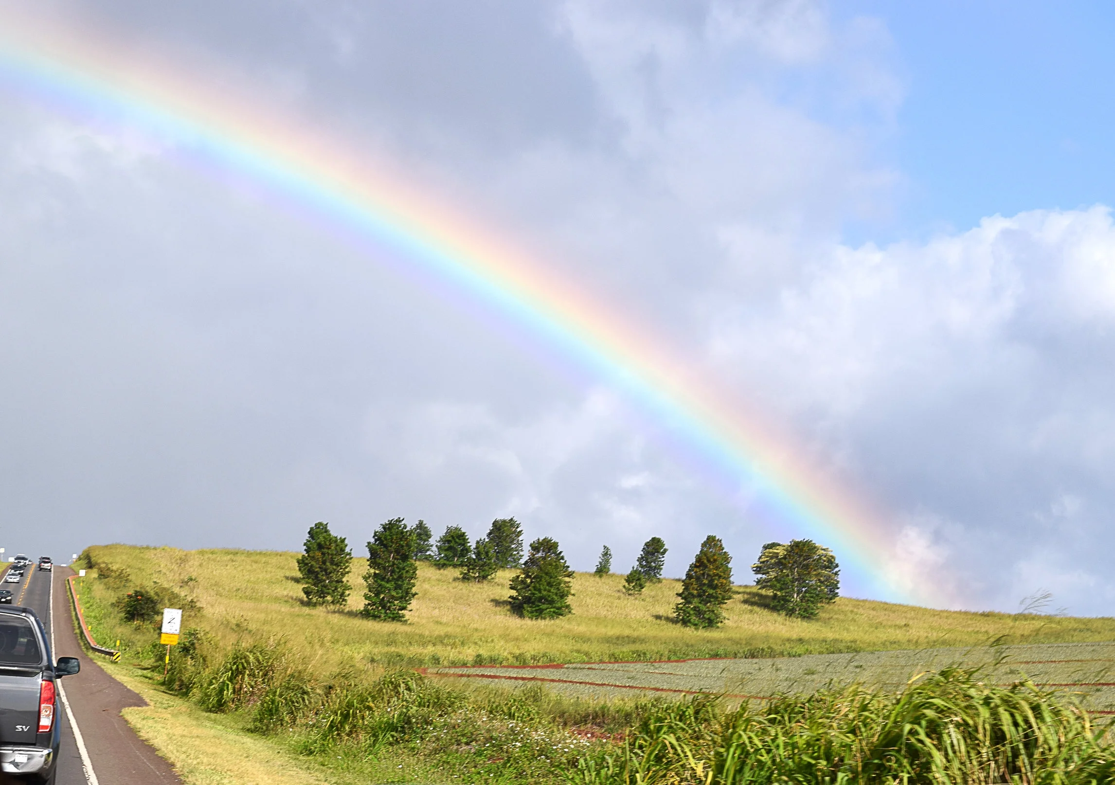 rainbow.jpg