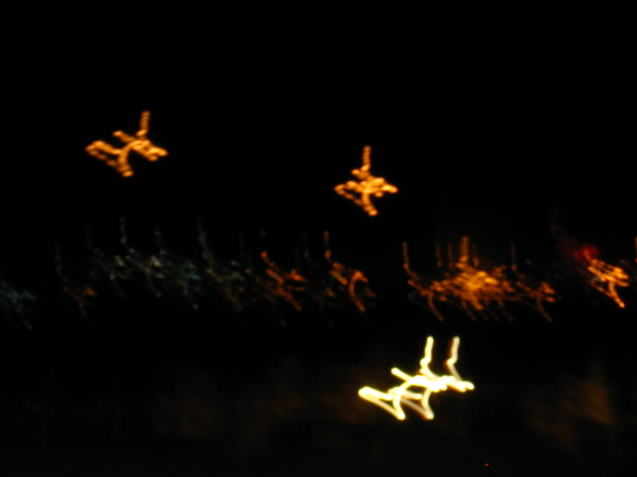IMG_2746.jpg