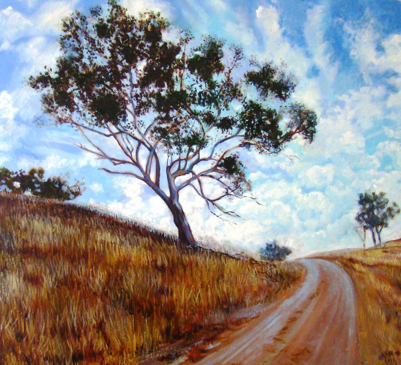 DNW_Landscape.jpg