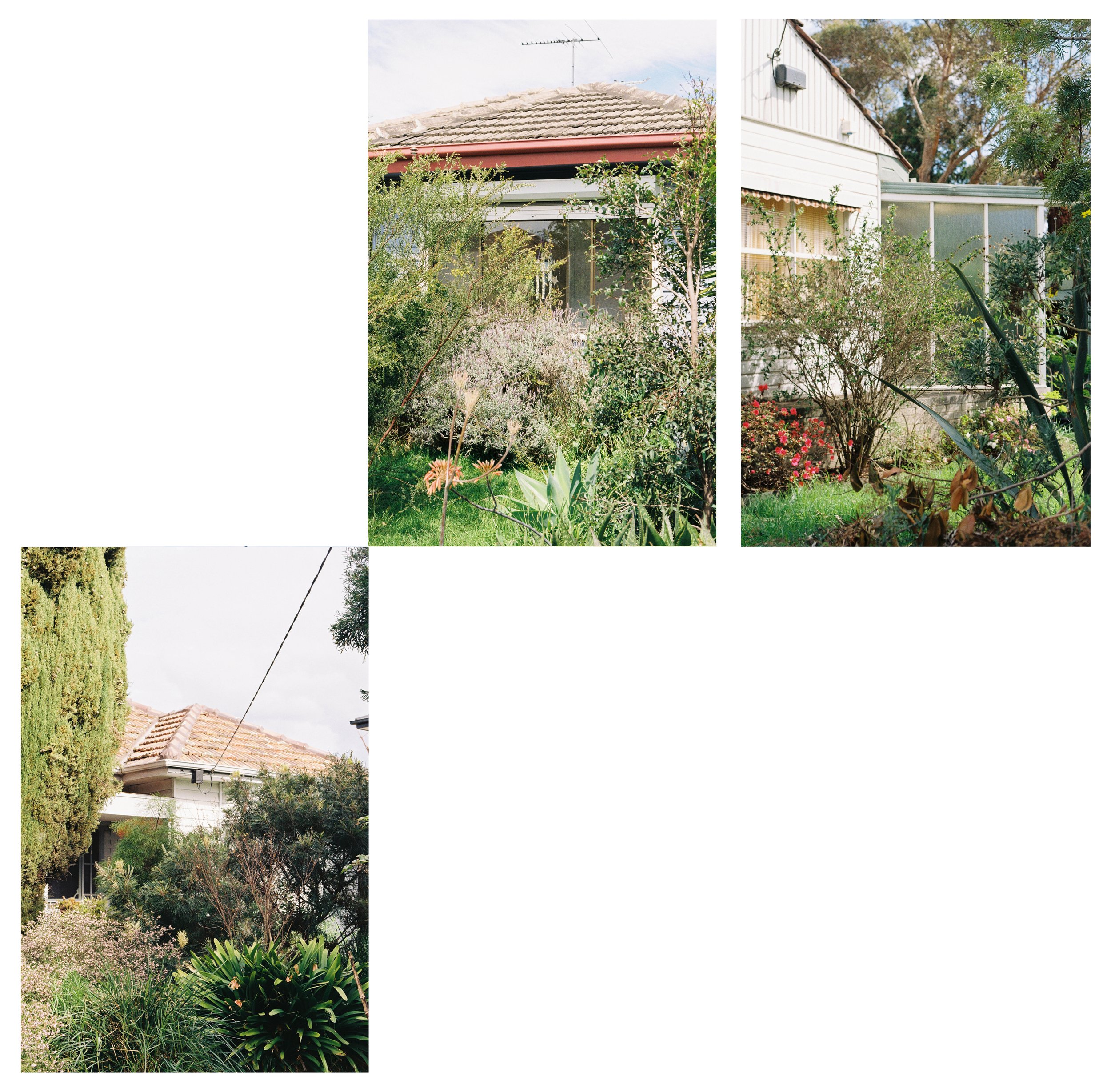 Green_A4.jpg