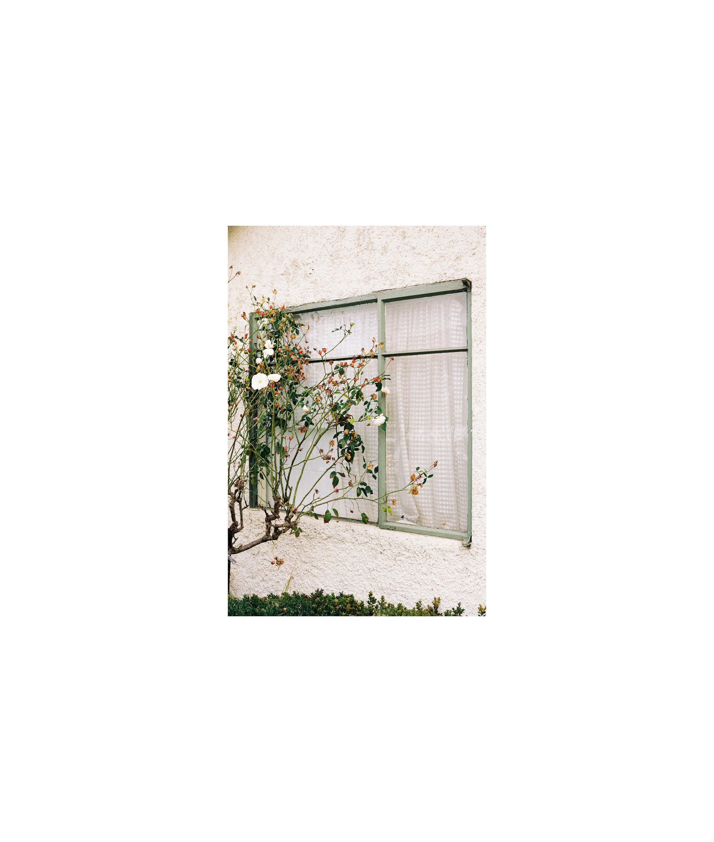 Green_a4_2.jpg