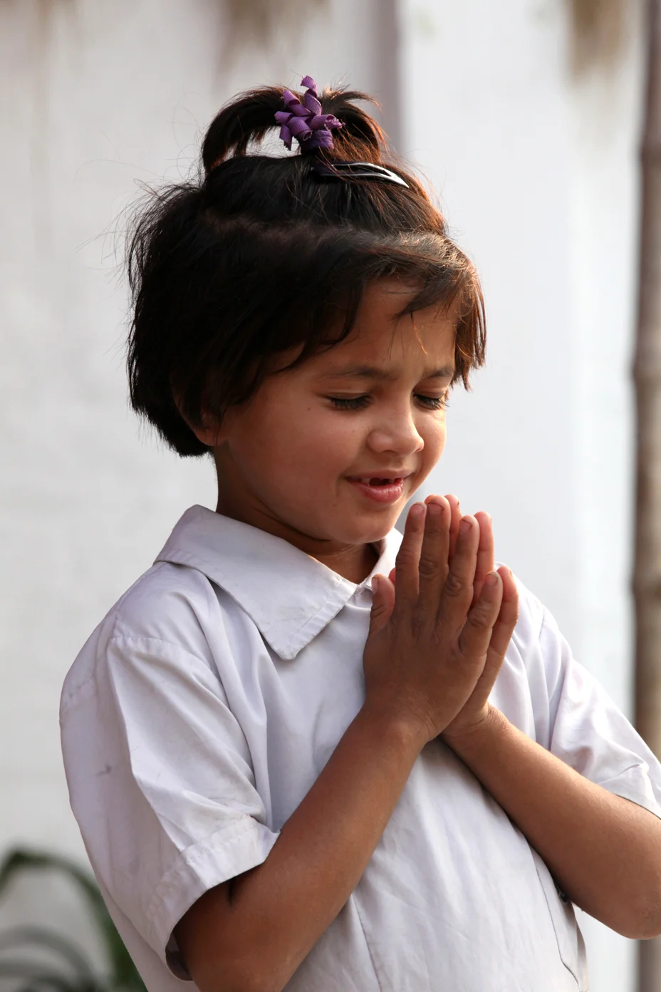 IMG_6918 starina.JPG