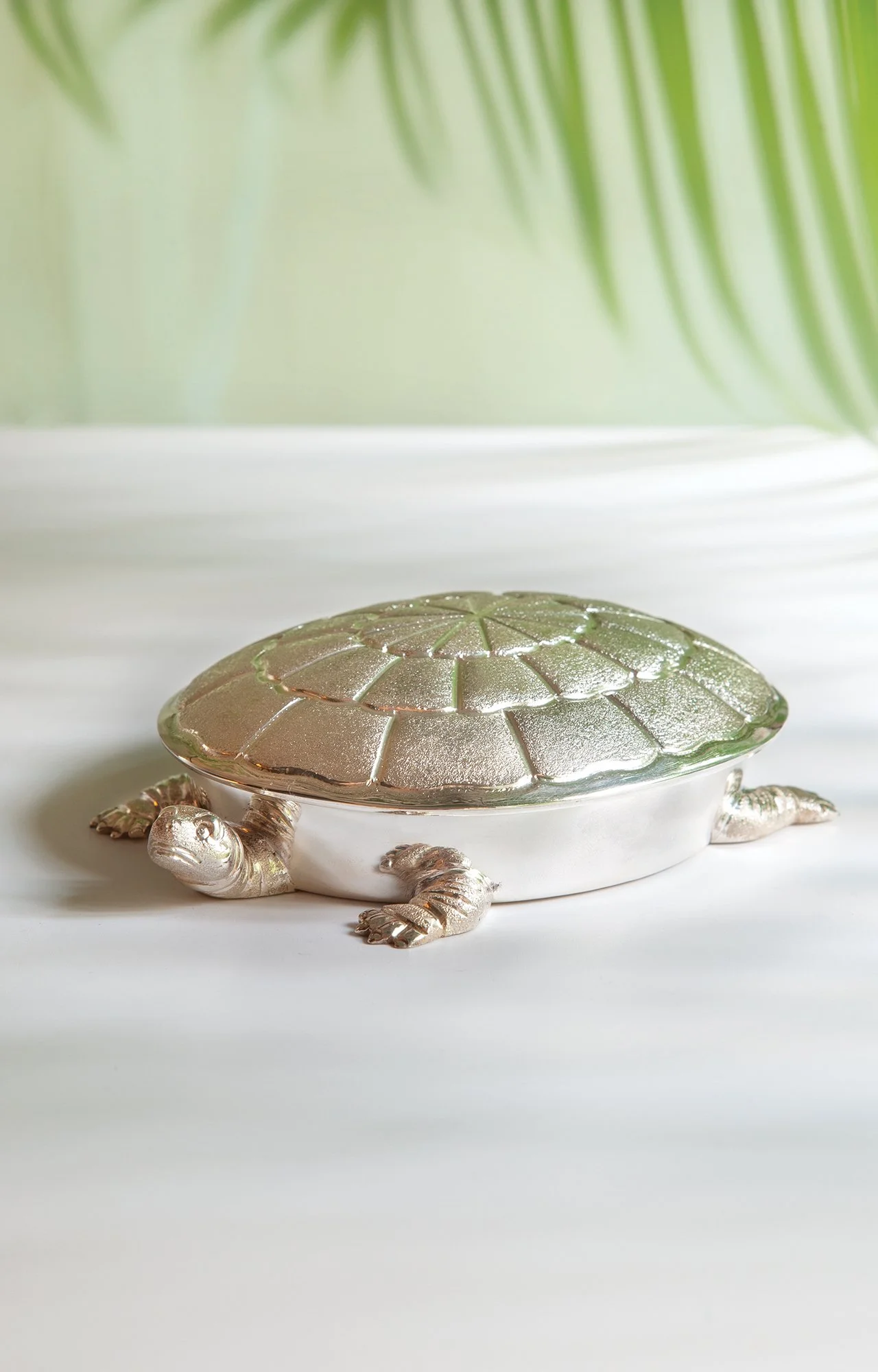 final turtle light .jpg